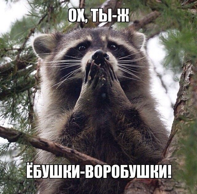Кликните, чтобы посмотреть в полный размер Кликните, чтобы посмотреть в полный размер