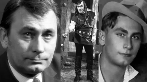 ����������