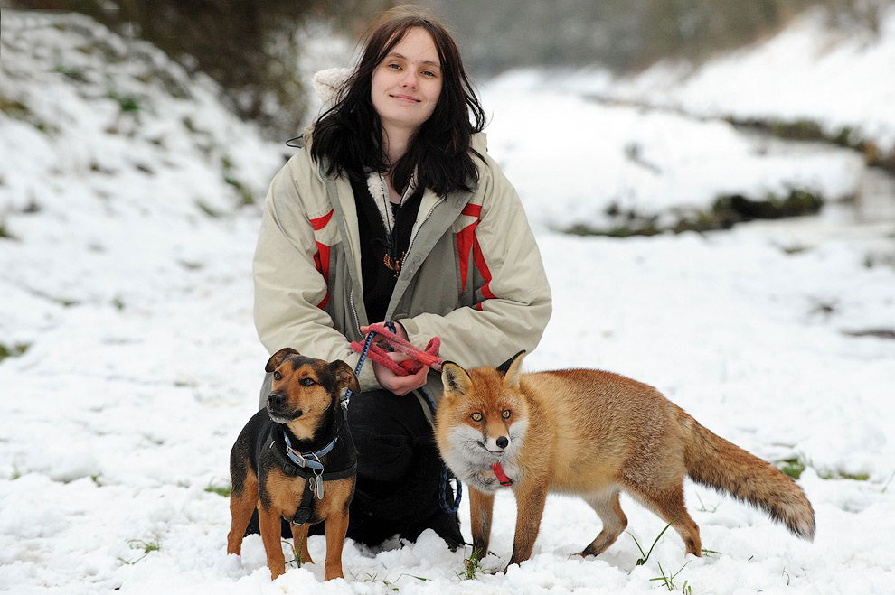 ����������