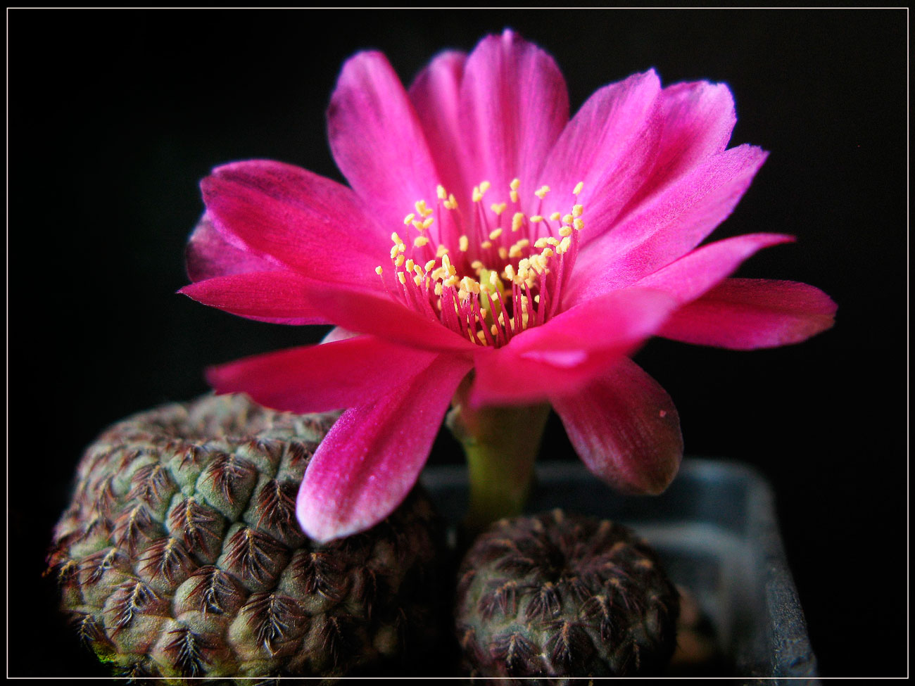 ����������