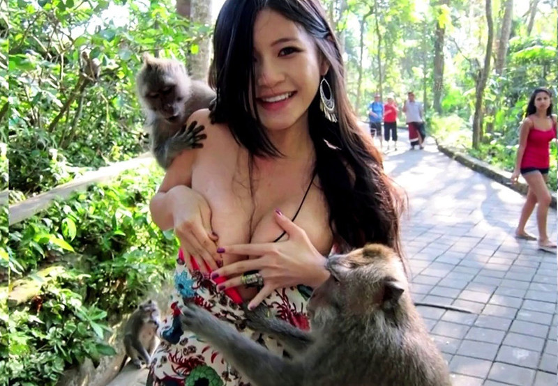 ����������