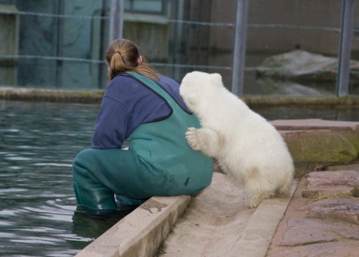 публикация