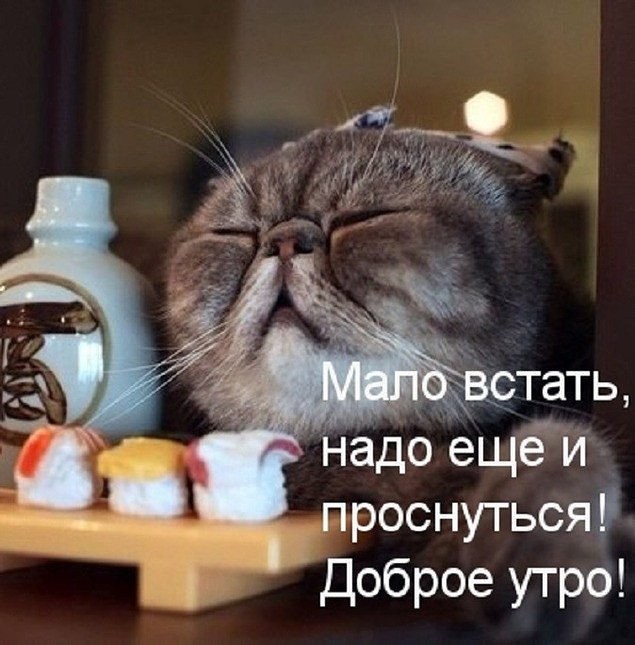 публикация