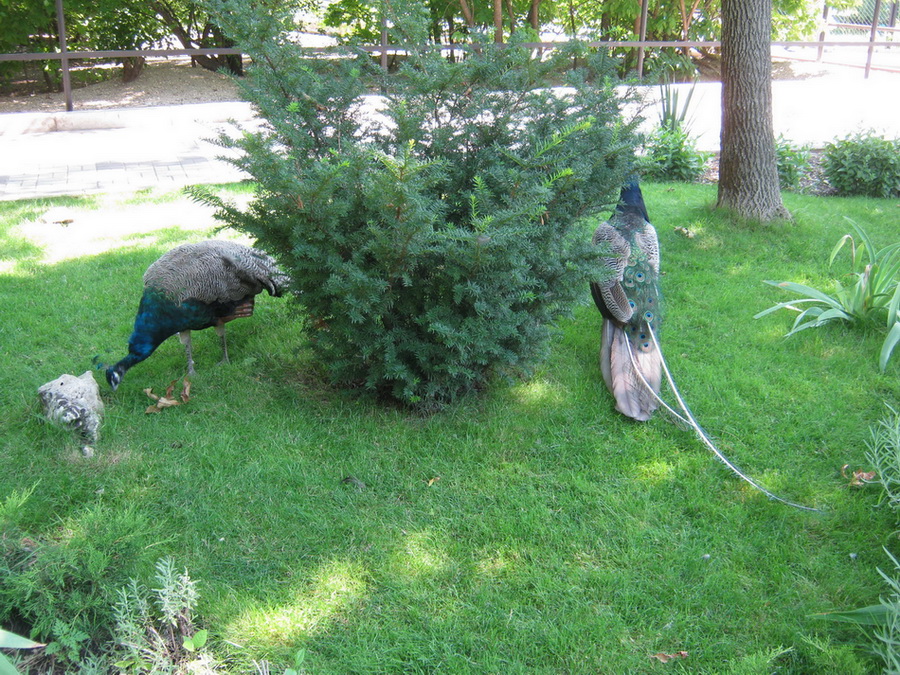 ����������