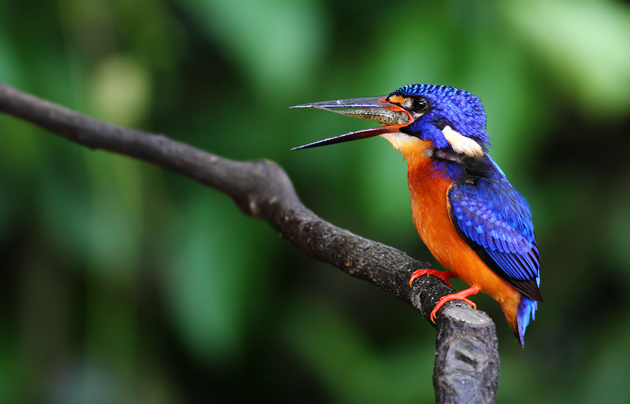 ����������