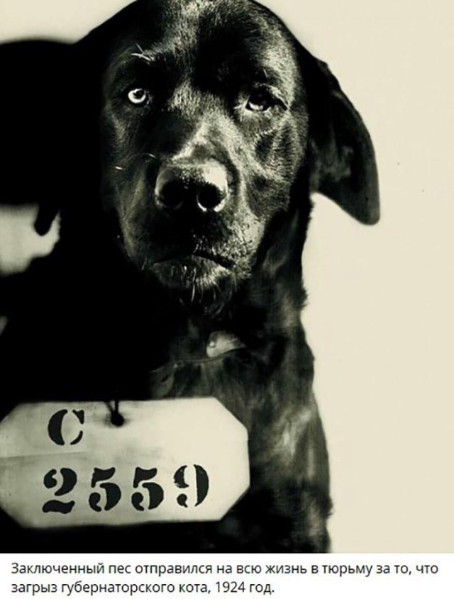 ��������, ����� ���������� � ������ ������