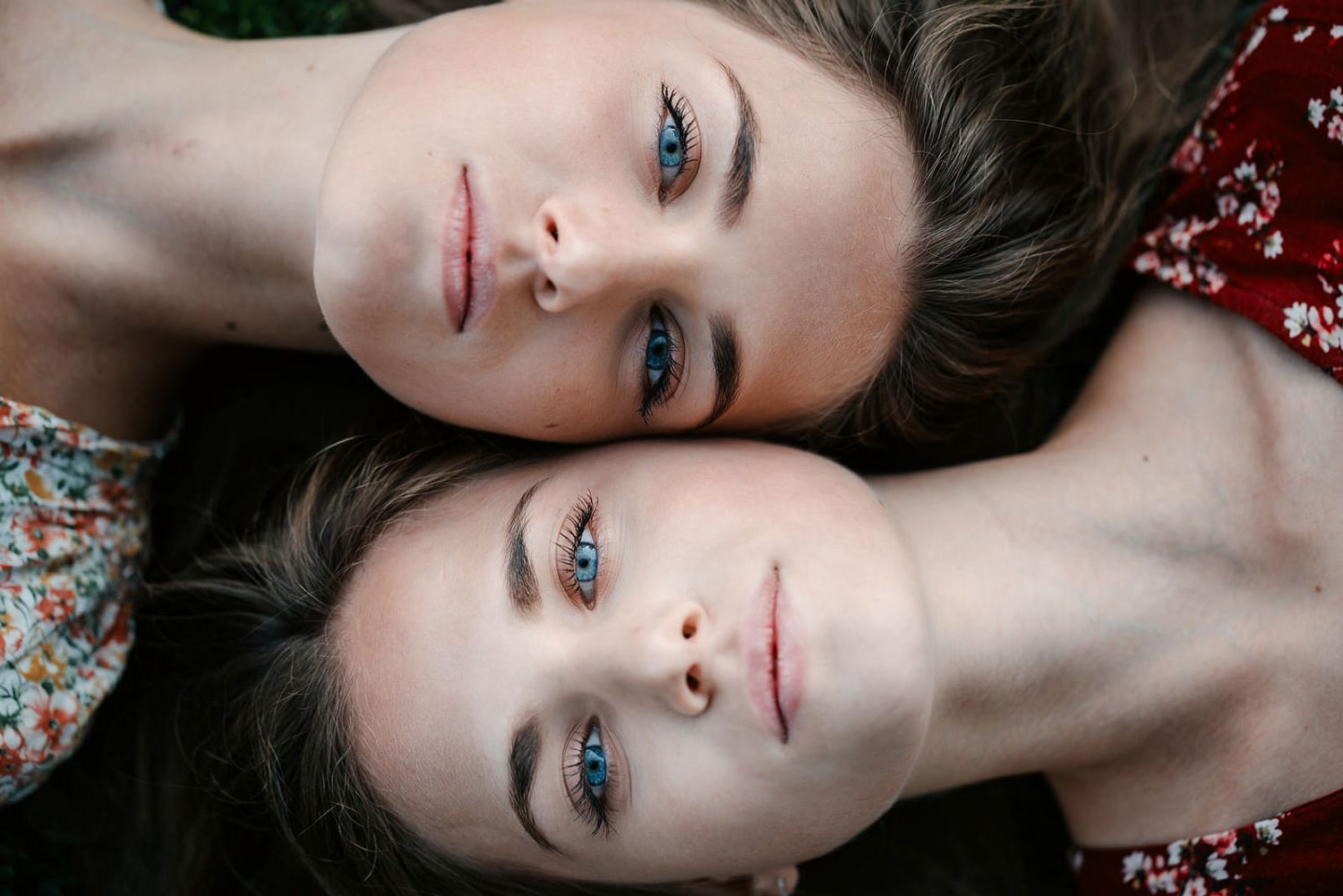 ����������