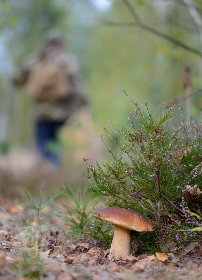 публикация