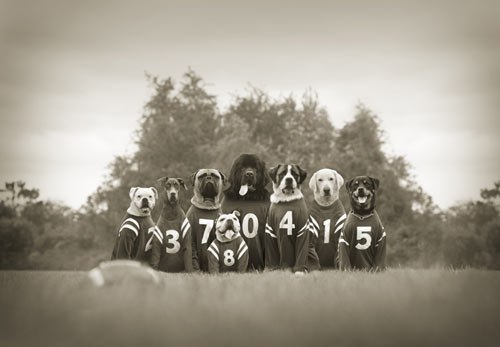 ����������