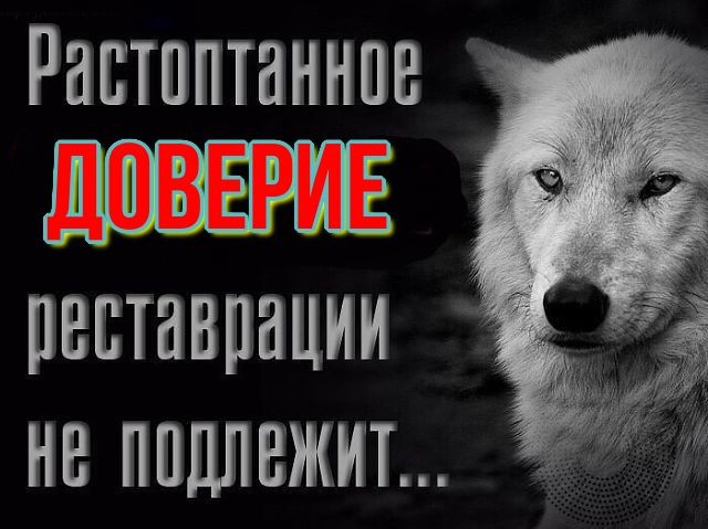 публикация