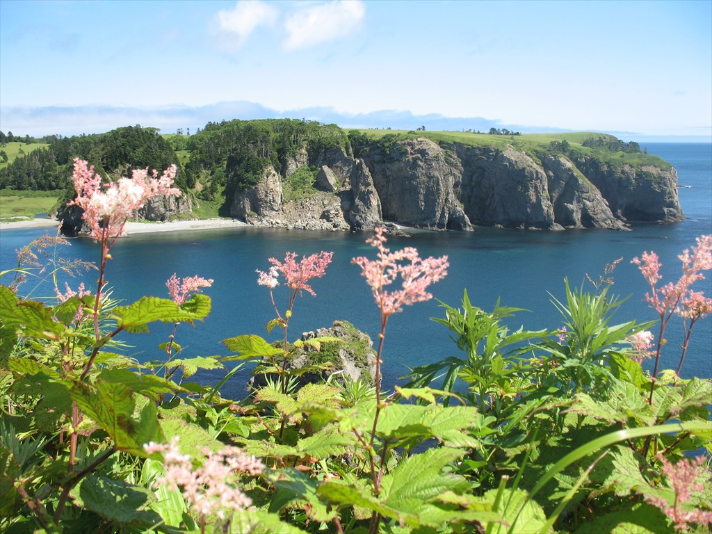 ����������