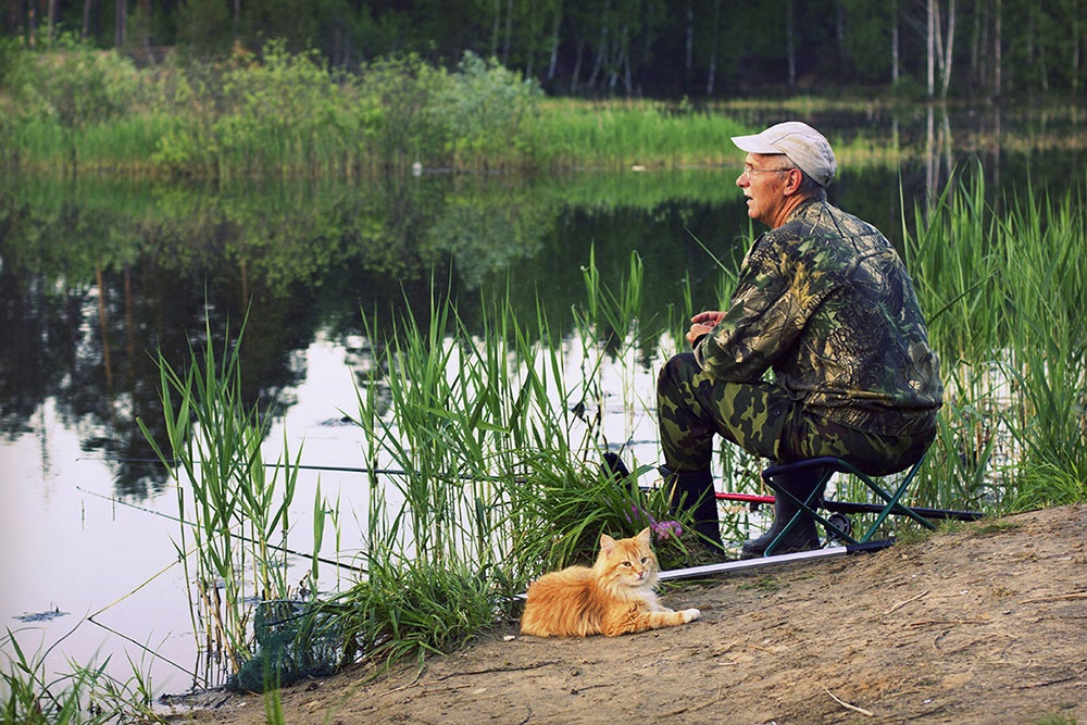 публикация