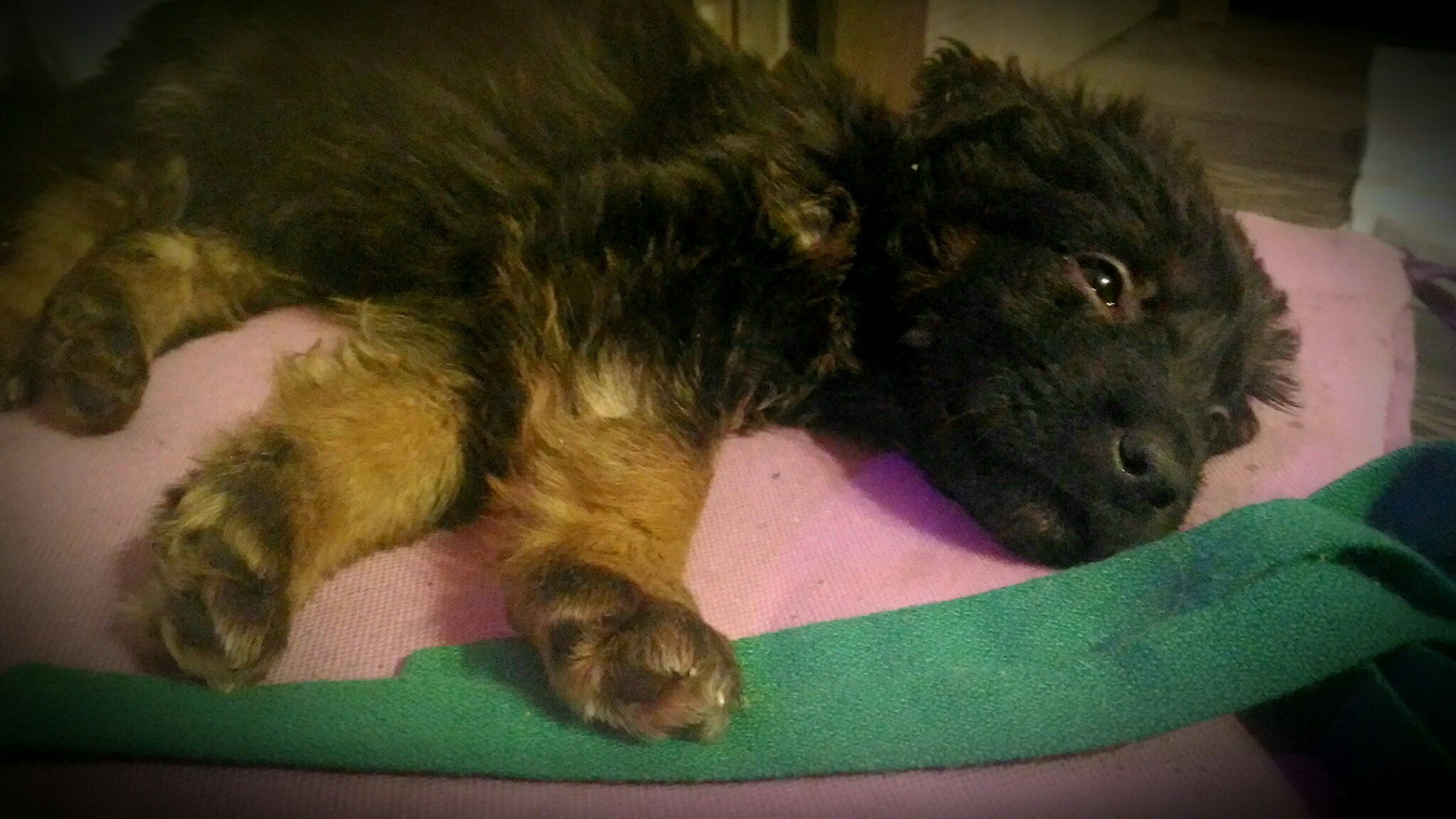 ����������