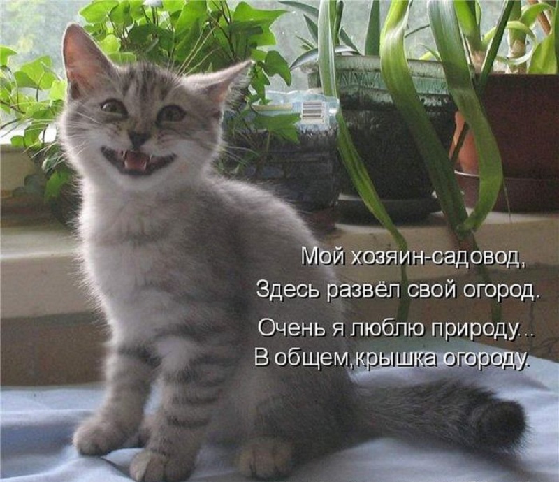 публикация