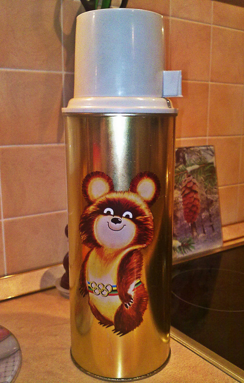 ����������