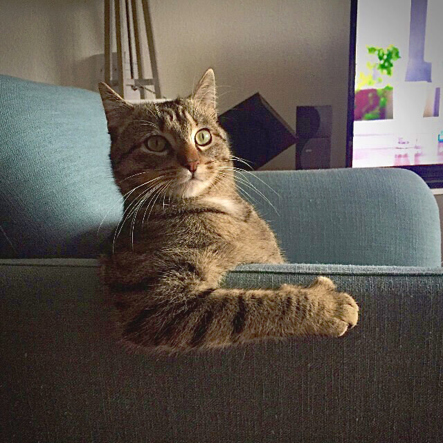 ��������, ����� ���������� � ������ ������