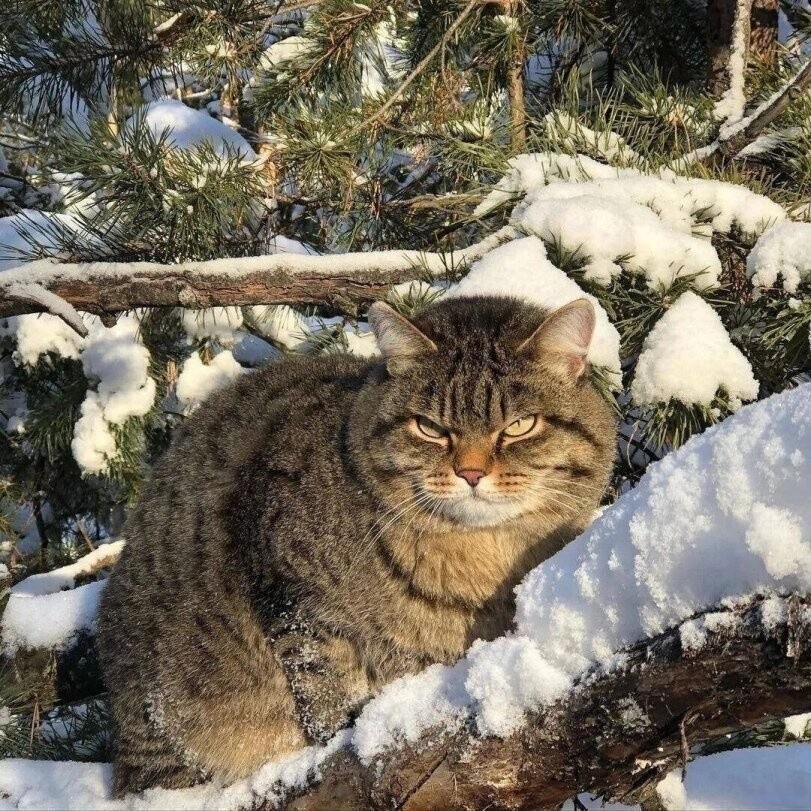 ��������, ����� ���������� � ������ ������