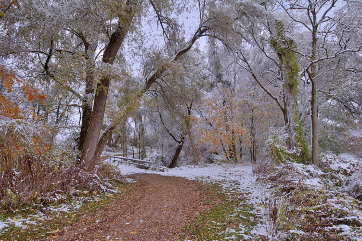 публикация