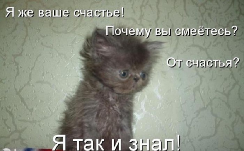 публикация