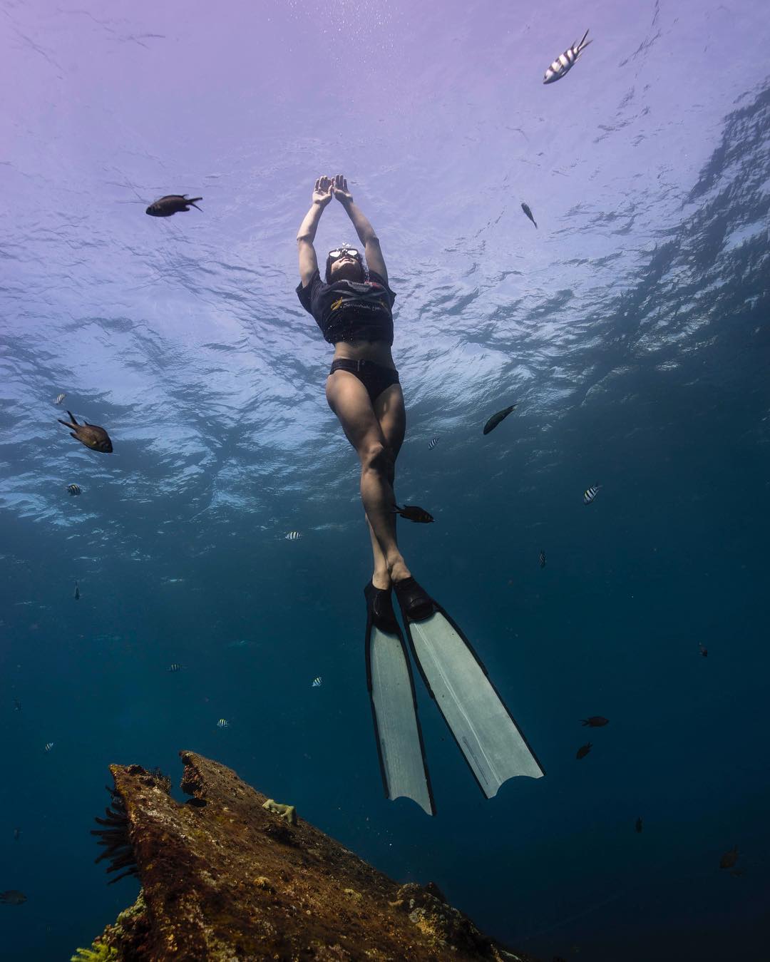 ����������