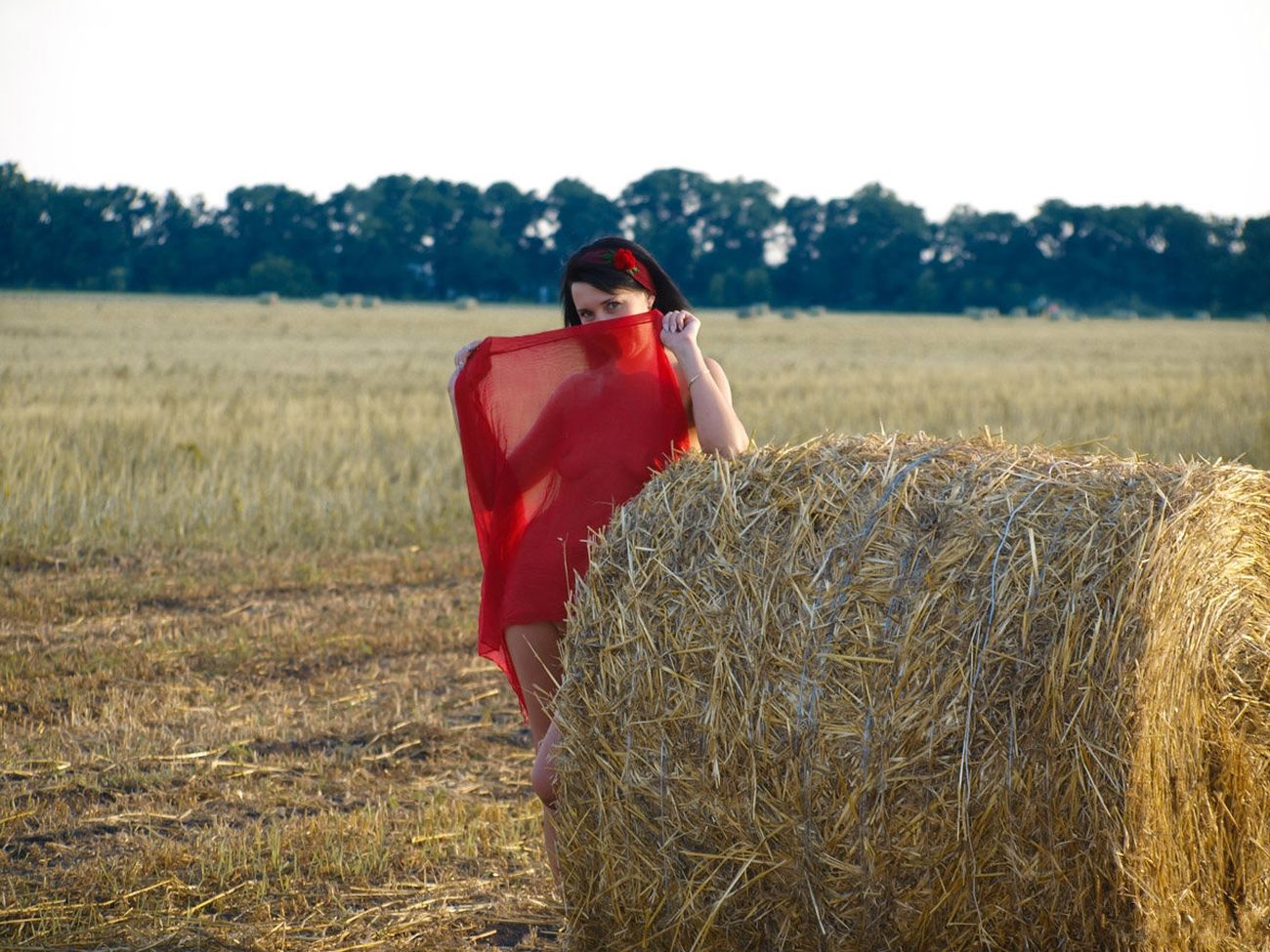 ����������