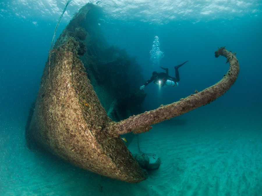 ����������