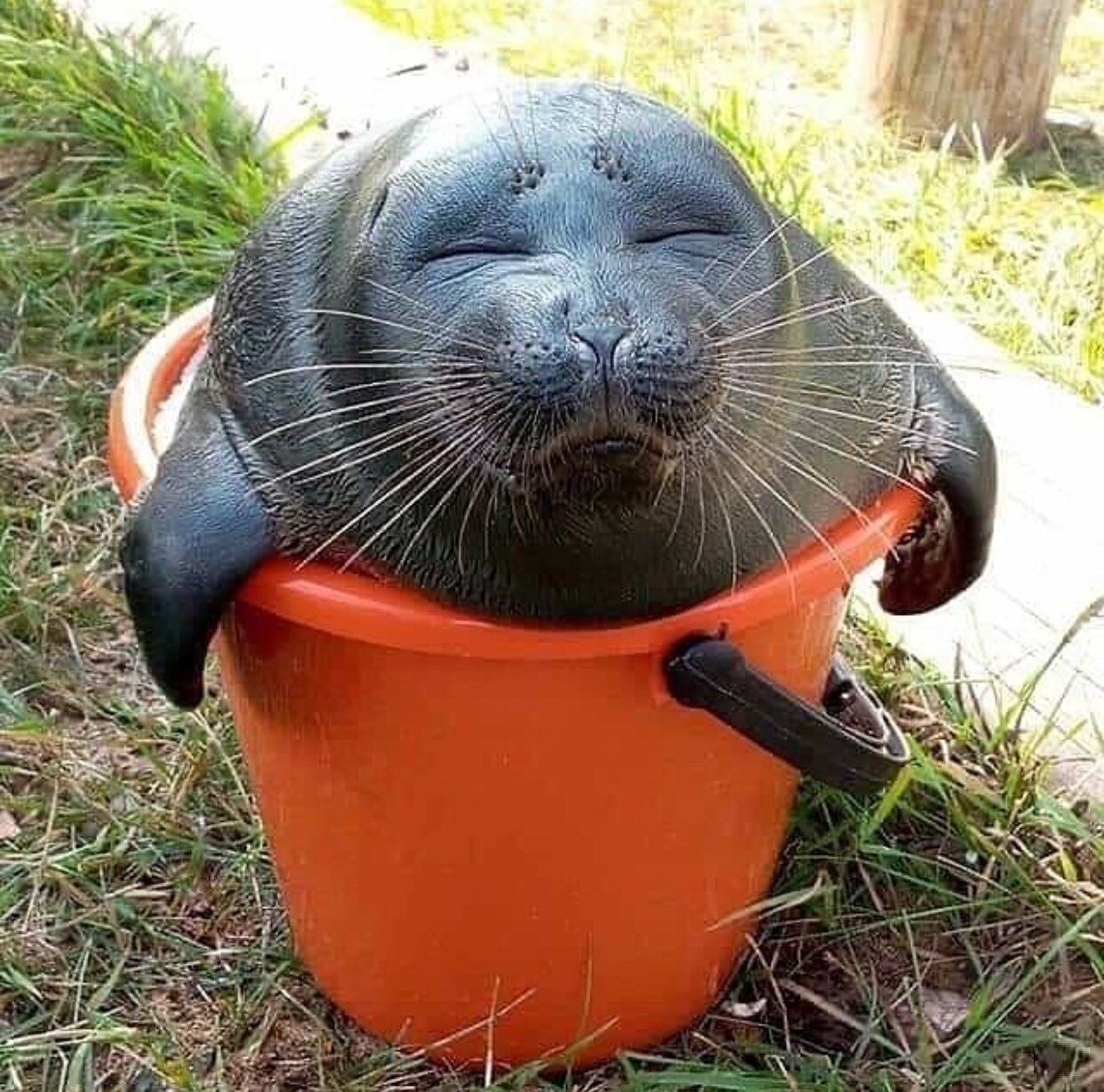 публикация