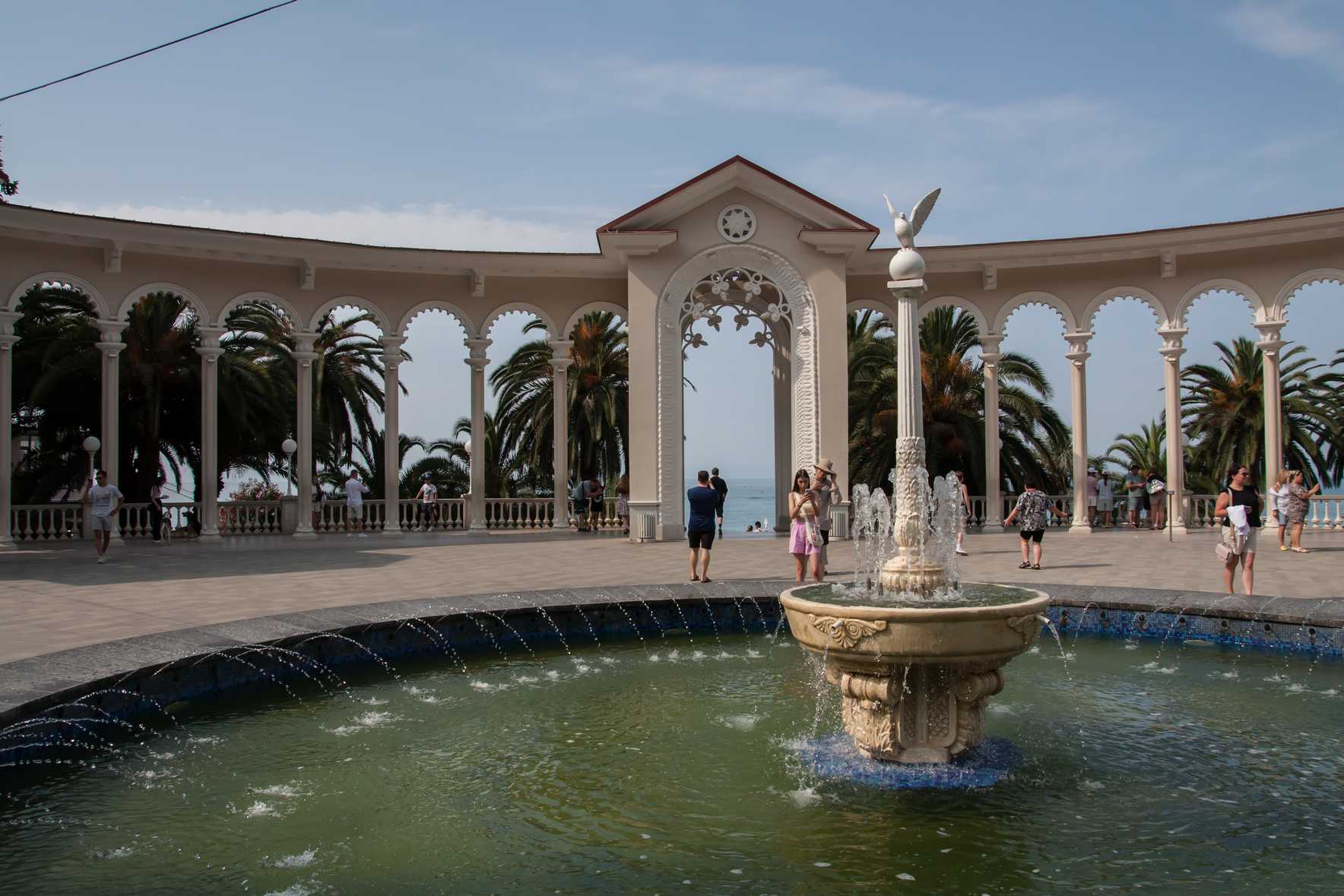 ����������