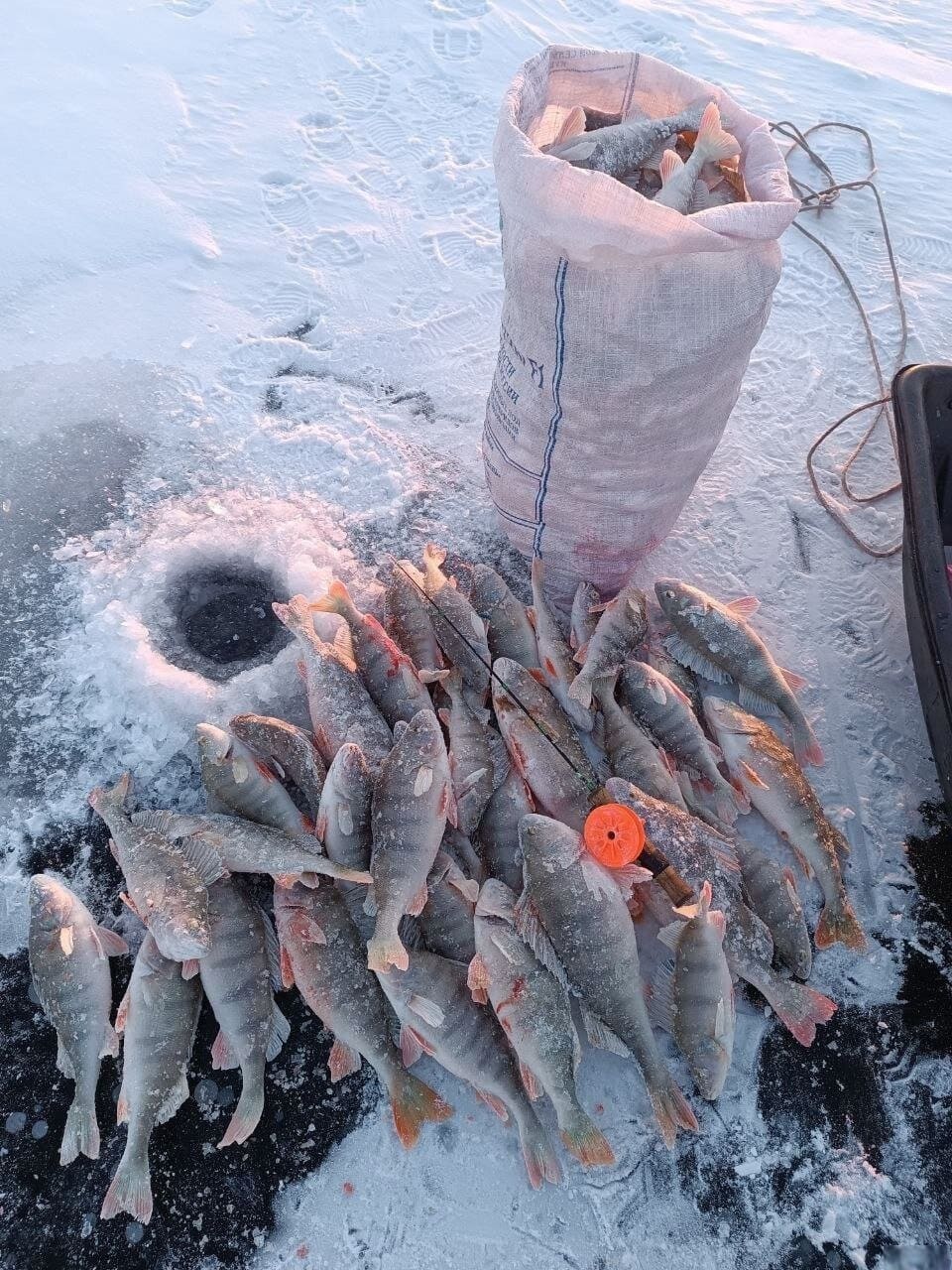 ��������, ����� ���������� � ������ ������