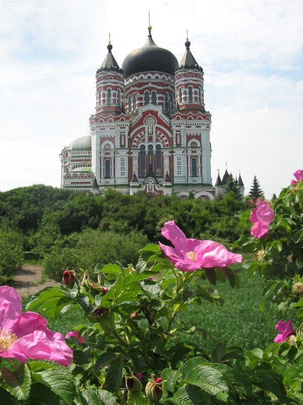 ����������