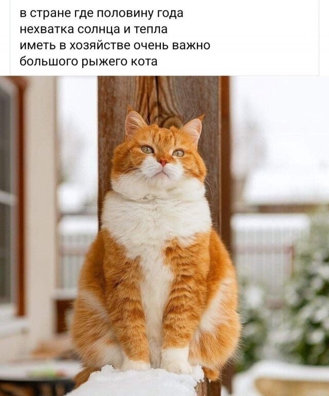 ��������, ����� ���������� � ������ ������