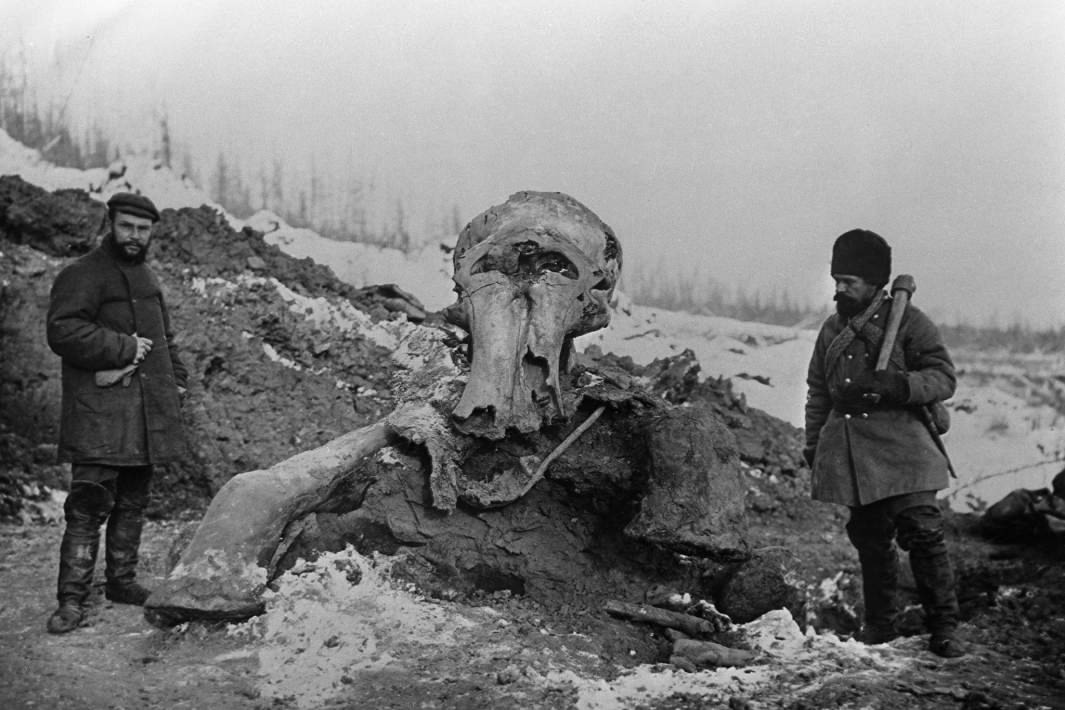 ����������