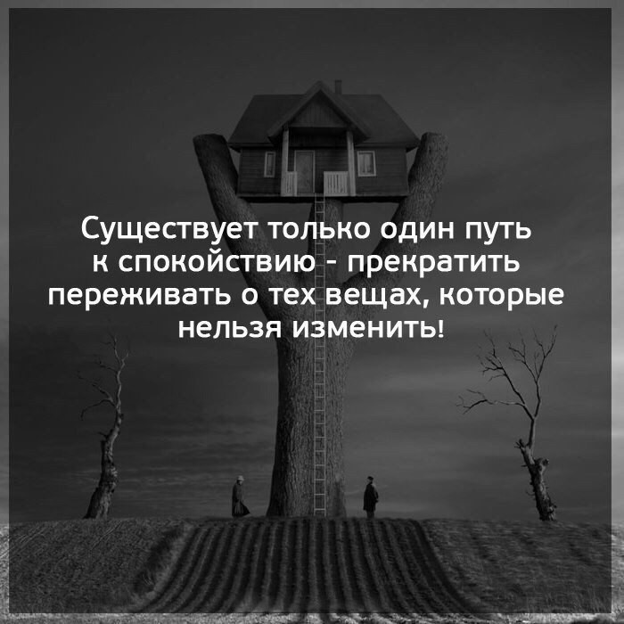 публикация