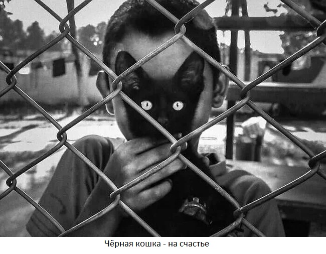 публикация