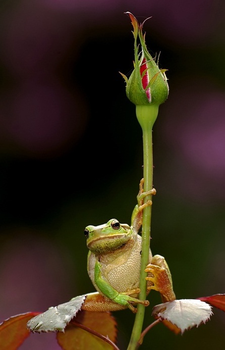 ����������