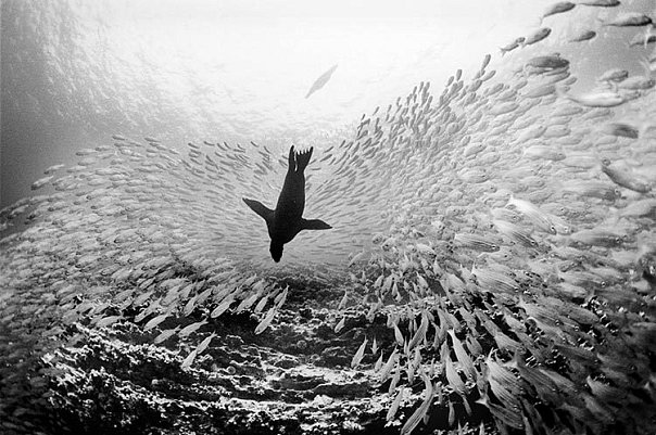 ����������