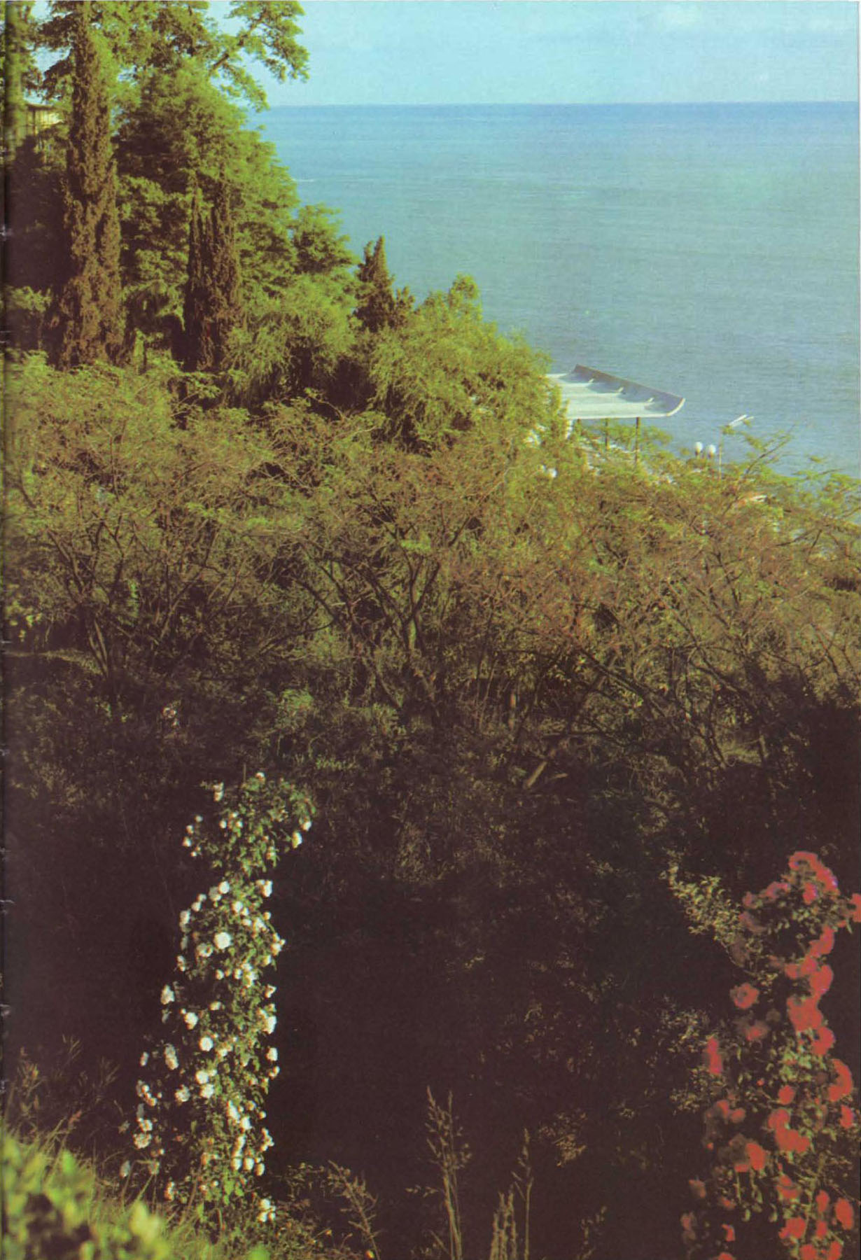 ����������