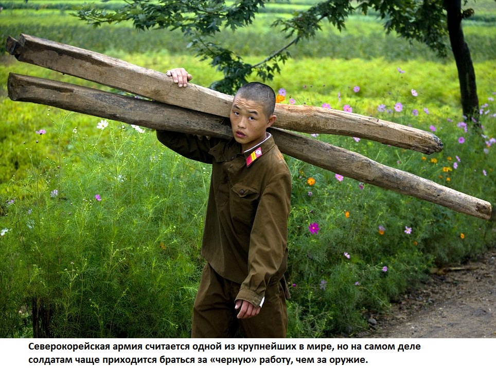 публикация