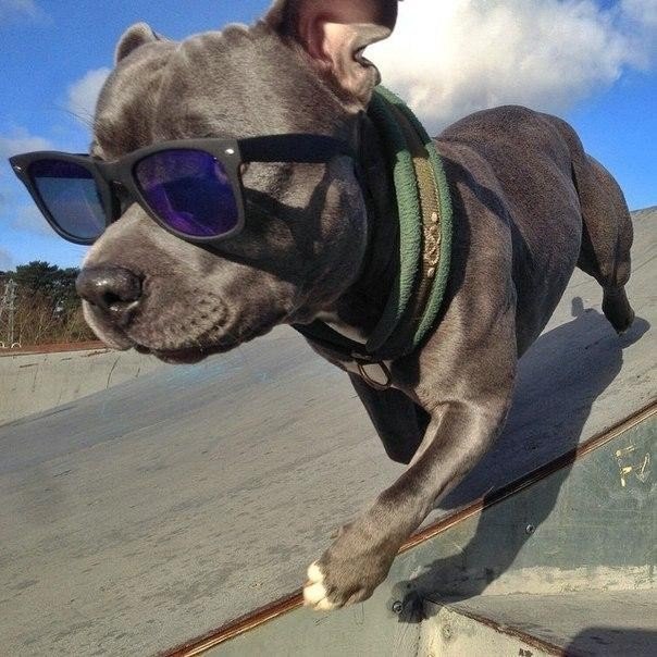 ����������