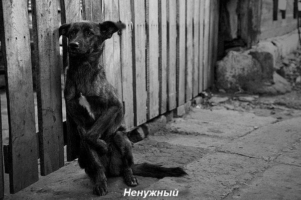 публикация