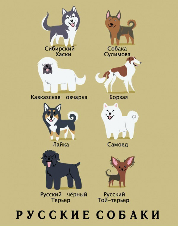 ����������