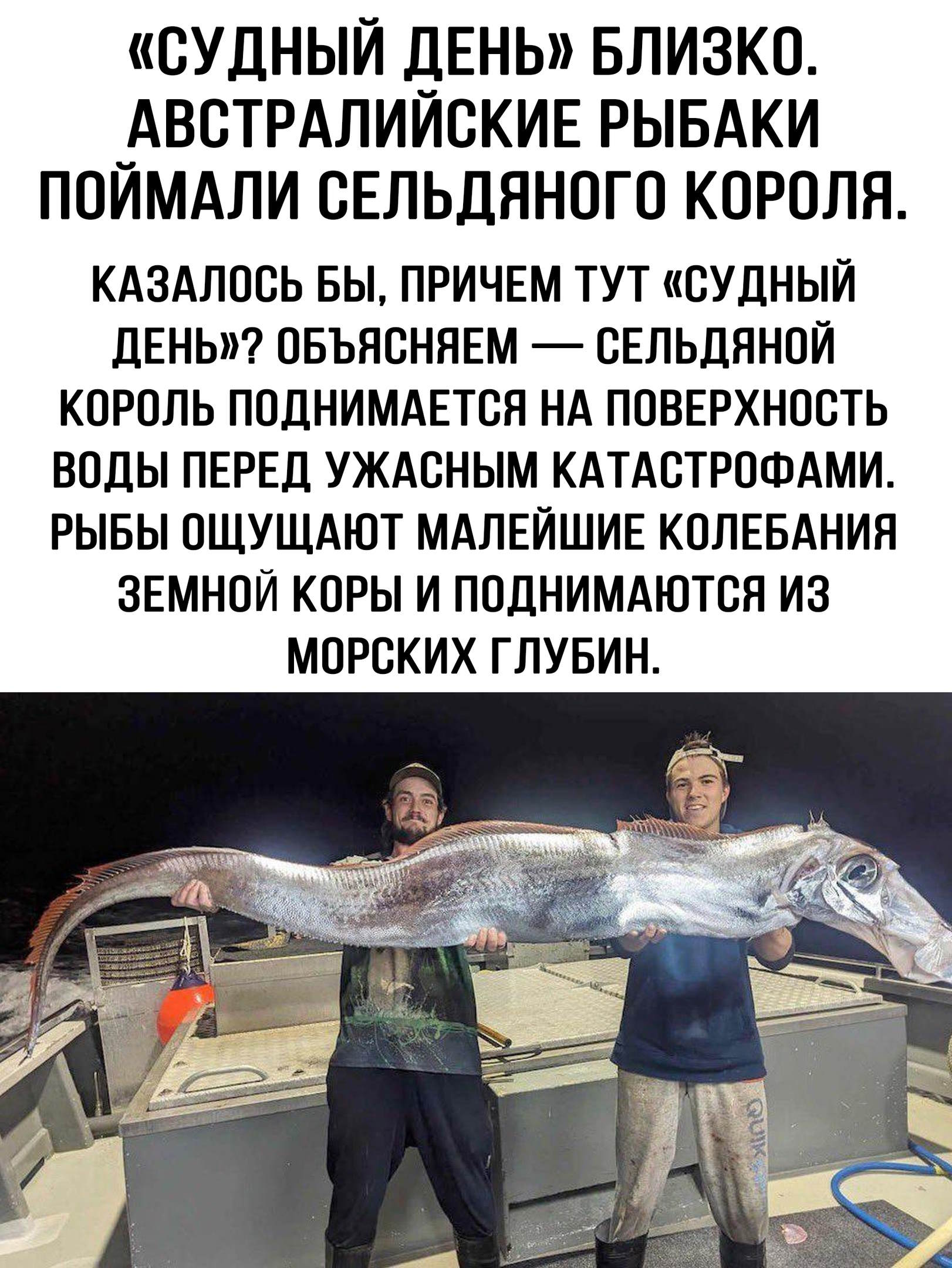 ��������, ����� ���������� � ������ ������