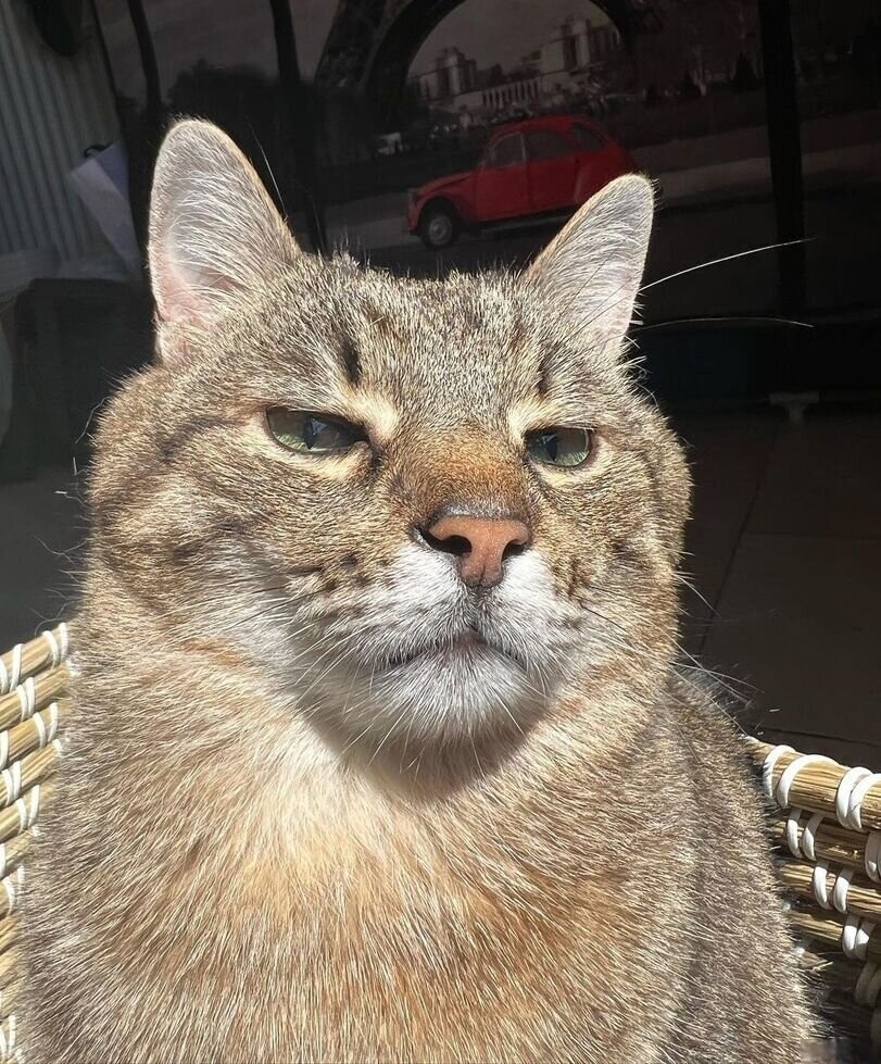 ����������