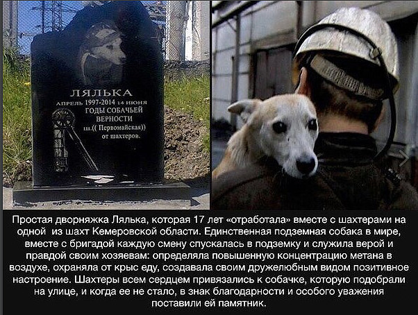 публикация