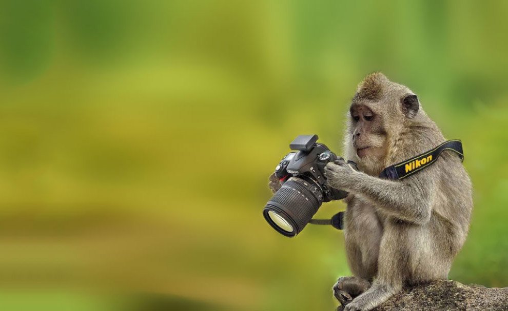 ����������