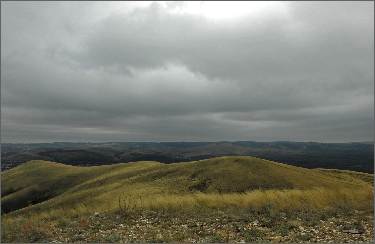 ����������