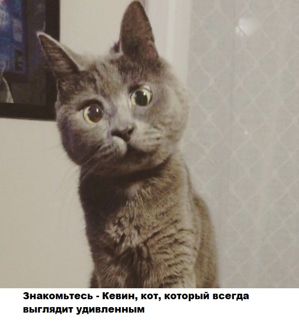 публикация