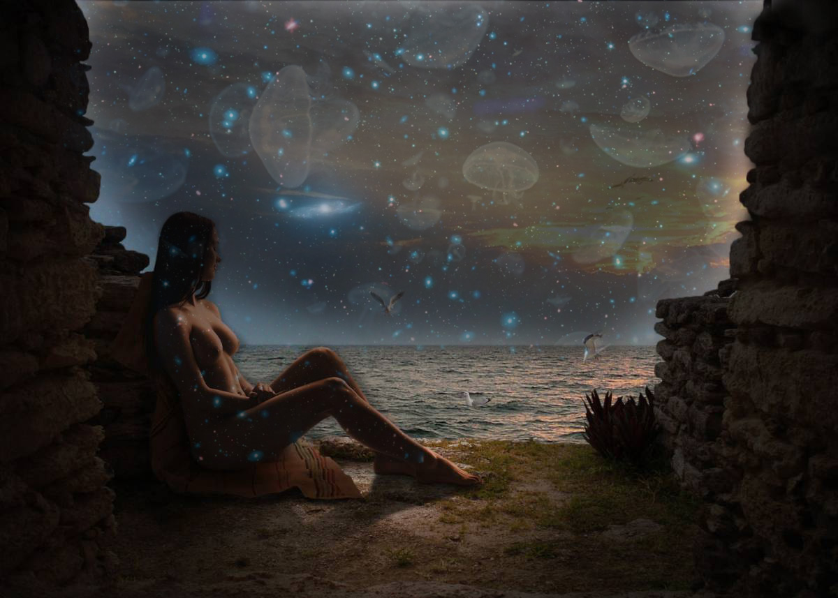 ����������